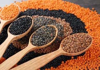 chosen-Right-Lentils-to-cook